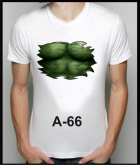 A-66